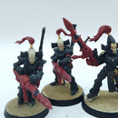 Warhammer 40k: Aeldari Eldar Dark Reapers - Battle Ready Painted (AT206)