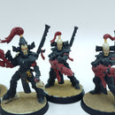 Warhammer 40k: Aeldari Eldar Dark Reapers - Battle Ready Painted (AT206)