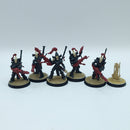 Warhammer 40k: Aeldari Eldar Dark Reapers - Battle Ready Painted (BN054)