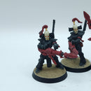 Warhammer 40k: Aeldari Eldar Dark Reapers - Battle Ready Painted (BN054)
