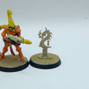 Warhammer 40k: Aeldari Eldar Fire Dragons - Battle Ready Painted (AW157)
