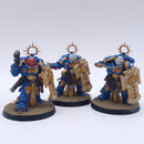 Warhammer 40k: Space Marines Bladeguard Painted BSC35