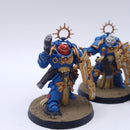 Warhammer 40k: Space Marines Bladeguard Painted BSC35
