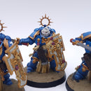 Warhammer 40k: Space Marines Bladeguard Painted BSC35