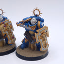Warhammer 40k: Space Marines Bladeguard Painted BSC35