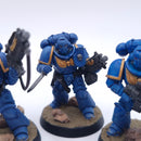 Warhammer 40k: Space Marines Intercessors Painted BP122