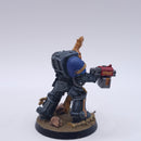 Warhammer 40k: Space Marines Terminator Chaplain Painted BSC33