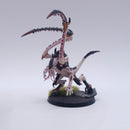 Warhammer 40k: Tyranids Lictor Painted BSC34