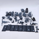 Warhammer The Old World: Orcs and Goblins Tribes Orc Boar Boyz Mob BSB54