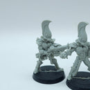 Warhammer 40k: Aeldari Eldar Finecast Fire Dragons (BI135)