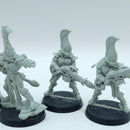 Warhammer 40k: Aeldari Eldar Finecast Fire Dragons (BI135)