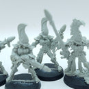 Warhammer 40k: Aeldari Eldar Finecast Fire Dragons (BA102)