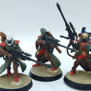Warhammer 40k: Aeldari Eldar Rangers - Battle Ready Painted (BP032)