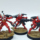 Warhammer 40k: Aeldari Eldar Warp Spiders - Battle Ready Painted (BI097)