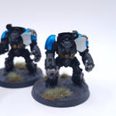 Warhammer 40k: Space Marines Terminators Painted BH212