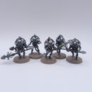 Warhammer 40k: Necrons Triarch Praetorians Painted BSD61