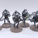 Warhammer 40k: Necrons Triarch Praetorians Painted BSD61