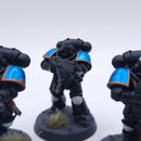 Warhammer 40k: Space Marines Intercessor Squad Painted BSC40