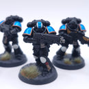 Warhammer 40k: Space Marines Intercessor Squad Painted BSC40