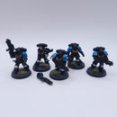 Warhammer 40k: Space Marines Intercessor Squad Painted BA138