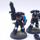 Warhammer 40k: Space Marines Intercessor Squad Painted BA138