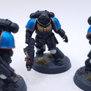 Warhammer 40k: Space Marines Intercessor Squad Painted BA138