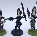 Warhammer 40k: Dark Eldar Howling Banshees 3rd Edition BO017