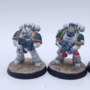 Warhammer Horus Heresy: Deathguard Tactical Squad Painted AJ189