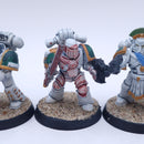 Warhammer Horus Heresy: Deathguard Tactical Squad Painted AJ189