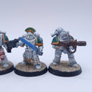 Warhammer Horus Heresy: Deathguard Tactical Squad Painted AJ189