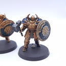 Warhammer AoS: Stormcast Eternals Annihilators Painted BSB21
