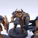 Warhammer AoS: Soulsworn Knight-Relictor with Annihilators Painted BSB22