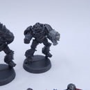 Warhammer 40k: Chaos Space Marines Chaos Raptors 3rd Edition BH167