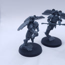 Warhammer 40k: Adeptus Custodes Venatari Sodality AQ033