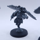Warhammer 40k: Adeptus Custodes Venatari Sodality AQ033