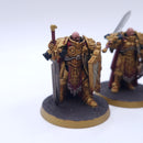 Warhammer 40k: Adeptus Custodes Sentinel Guard Sodality Part Painted BO009