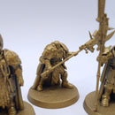 Warhammer 40k: Adeptus Custodes Sentinel Guard Sodality AQ098