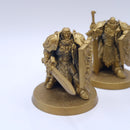 Warhammer 40k: Adeptus Custodes Sentinel Guard Sodality AM004