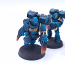 Warhammer 40k: Space Marines Assault Intercessors Painted BSB04
