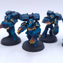 Warhammer 40k: Space Marines Assault Intercessors Painted BSB04