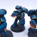 Warhammer 40k: Space Marines Assault Intercessors Painted BSB04