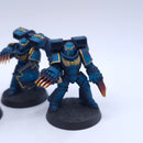 Warhammer 40k: Space Marines Assault Intercessors Painted BSB04