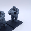 Warhammer AoS: Ogor Mawtribes Leadbelchers BSB05