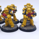 Warhammer Horus Heresy: Space Marines Imperial Fist Mkiii Tactical Squad Painted BR016