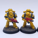 Warhammer Horus Heresy: Space Marines Imperial Fist Mkiii Tactical Squad Painted BR016