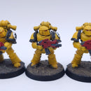 Warhammer Horus Heresy: Space Marines Imperial Fist Mkiii Tactical Squad Painted BR016