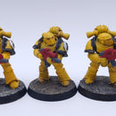 Warhammer Horus Heresy: Space Marines Imperial Fist Mkiii Tactical Squad Painted BR038