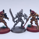 Warhammer 40k: Kill Team Aeldari Blades of Khaine Part Painted AH193