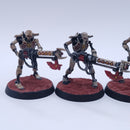 Warhammer 40k: Necrons Necron Warriors with Scarabs Painted BSA11