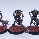 Warhammer 40k: Necrons Necron Warriors with Scarabs Painted BSA11